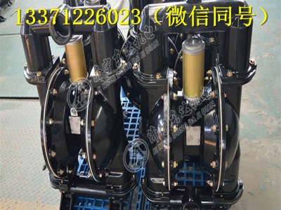 河南安阳BQG350/0.2气动隔膜泵工厂专供