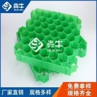 珠海市hdpe消防通道绿化植草格型号齐全