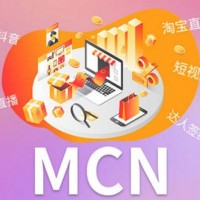 广州电商网红直播带货，MCN机构签约网红，淘系卖货主播，网店