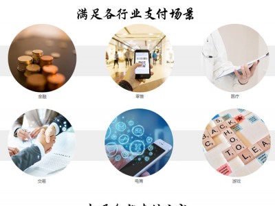 聚合支付收款软件开发贴牌定制app