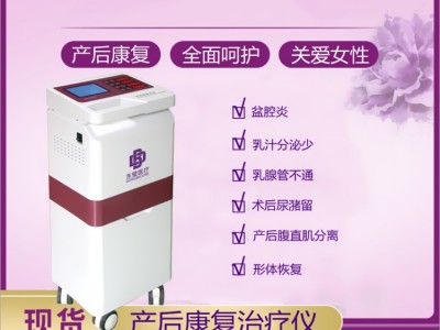 产后康复综合治疗仪参数