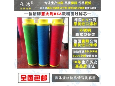 BEA款精密过滤器滤芯ARS-100RF ARS-100RB