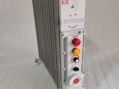 BDR-2000W220V11片防爆电热油汀取暖器图3