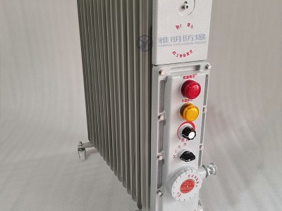 BDR-2500W220VExdⅡBT4移动式防爆电暖器