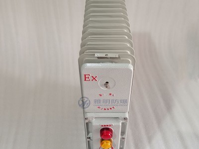 BDR-2500W220VExdⅡBT4移动式防爆电暖器图2