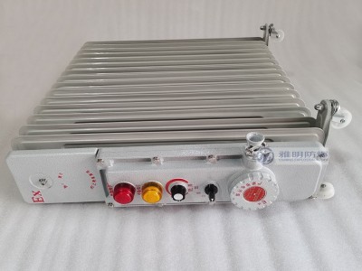 BDR-2500W220VExdⅡBT4移动式防爆电暖器图4