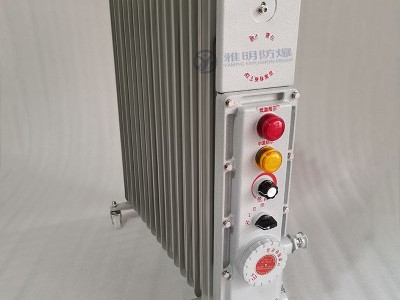 BDR-1.5KW9片2KW11片取暖用防爆电热油汀