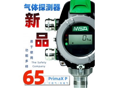 MSA梅思安PrimaXP在线式可燃氧气氨气氢气气体分析器