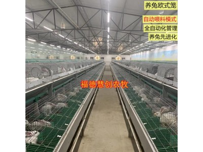 兔舍养兔子的设备 自动喂料欧式兔笼大型笼具繁育一体