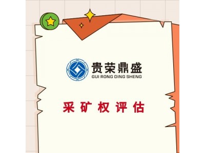 广东省河源市企业无形资产找一家企业资产价值专业评估更新