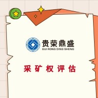 广东省河源市企业无形资产找一家企业资产价值专业评估更新