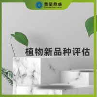 陕西省榆林市无形资产评估植物新品种评估更新