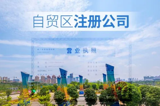 自贸区注册公司应提交什么资料