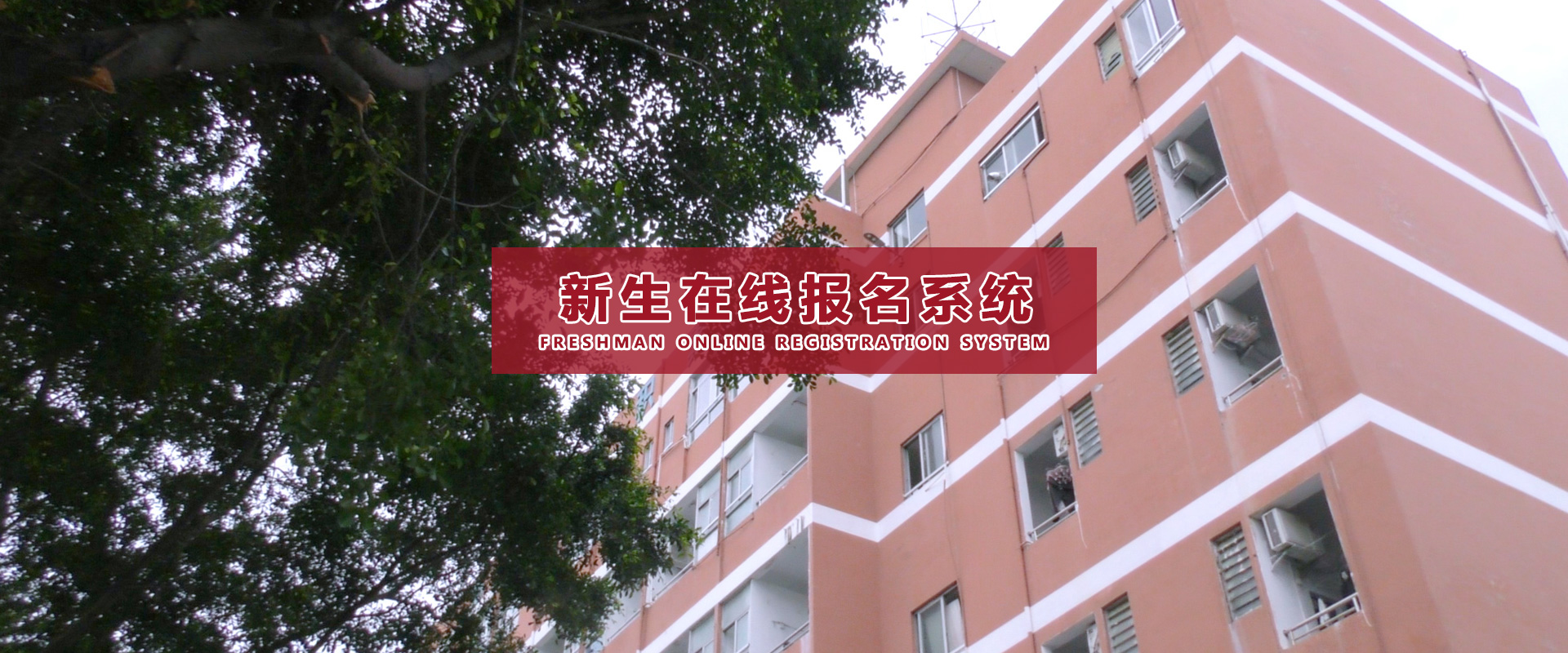 东莞职高学校的教学特点