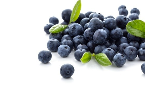 用这6种技巧在花盆养蓝莓，有吃不完的果子