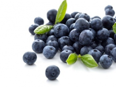 用这6种技巧在花盆养蓝莓，有吃不完的果子