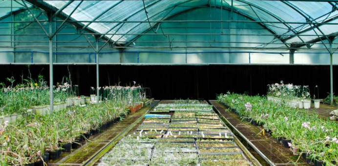 温室大棚种植管理的六大误区