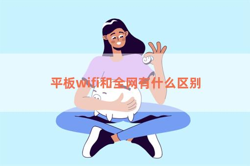 平板wifi和全网有什么区别