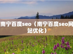 南宁百度seo（南宁百度seo网站优化）