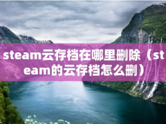 steam云存档在哪里删除（steam的云存档怎么删）