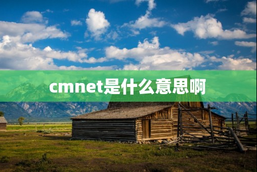 cmnet是什么意思啊