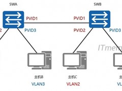 交换机缺省vlan是什么意思 vlan pvid什么意思