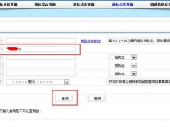 知识产权信息公众查询操作指引