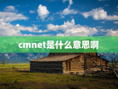 cmnet是什么意思啊