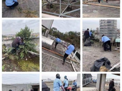 广州河园保洁公司,日常办公室保洁,驻场保洁外包图5