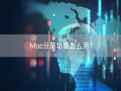 Mac分屏功能怎么用?