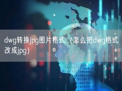 dwg转换jpg图片格式（怎么把dwg格式改成jpg）