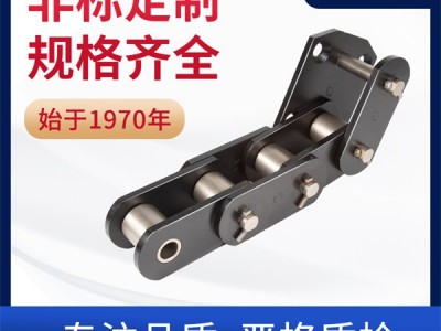 抽油机链条 传动链 环球链条 链传动解决方案图2