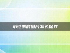 小红书的图片怎么保存