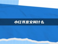 小红书发文叫什么