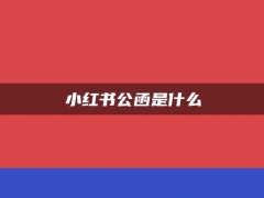 小红书公函是什么