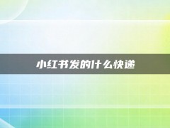 小红书发的什么快递