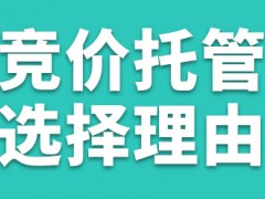 如何选择竞价托管公司