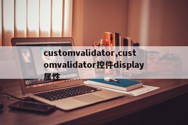 customvalidator,customvalidator控件display属性