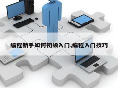 编程新手如何初级入门,编程入门技巧