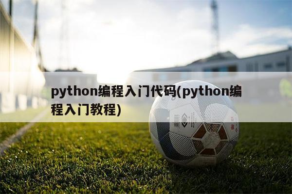 python编程入门代码(python编程入门教程)