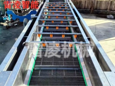 果蔬泡清洗机 红薯土豆清洗设备 大姜清洗机生产厂家图2