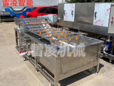 果蔬泡清洗机 红薯土豆清洗设备 大姜清洗机生产厂家图3