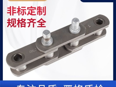 煤机链 工程链 环球链条 非标定制 链条厂家图2