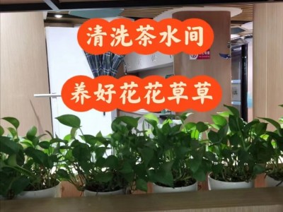 广州花都办公室搞卫生，室内保洁外包，日常保洁外包公司图7