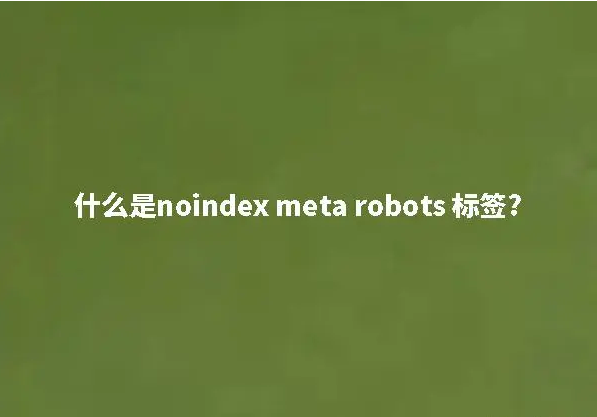 什么是noindex me<i></i>ta robots 标签