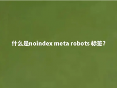 什么是noindex meta robots 标签