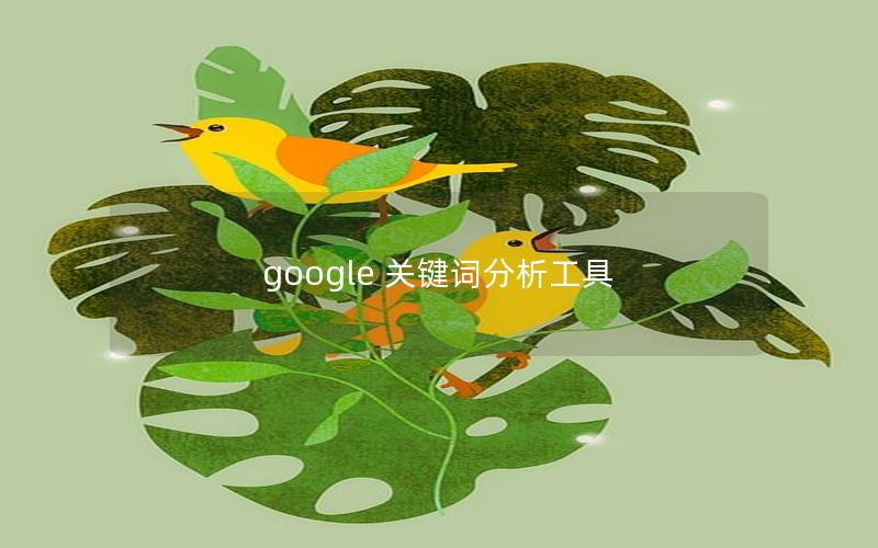 google 关键词分析工具