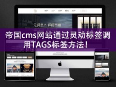 帝国cms网站通过灵动标签调用TAGS标签方法！