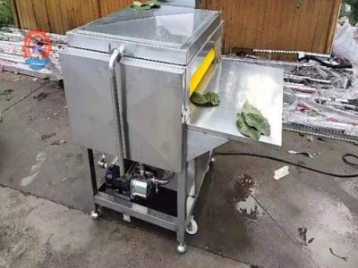 粽子全套加工设备 粽叶清洗机多功能叶子清洗设备图2