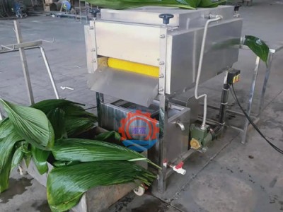 粽子全套加工设备 粽叶清洗机多功能叶子清洗设备图3